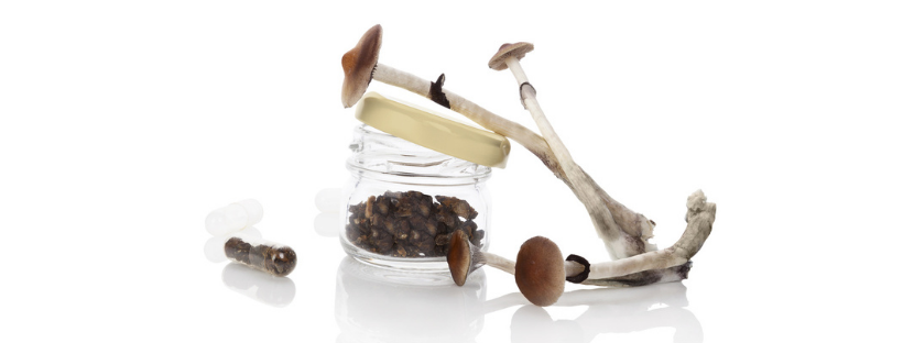 Dosing Recommendations for Shroom Capsules Dosing Recommendations for Shroom Capsules