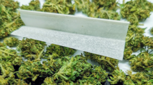 How to Choose the Right Rolling Papers