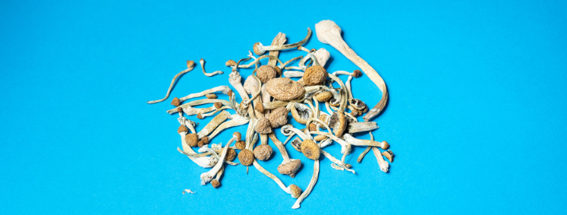 Improves Brain Health Improves Brain Health