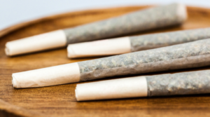 Where to Buy and How to Store Pre Rolls