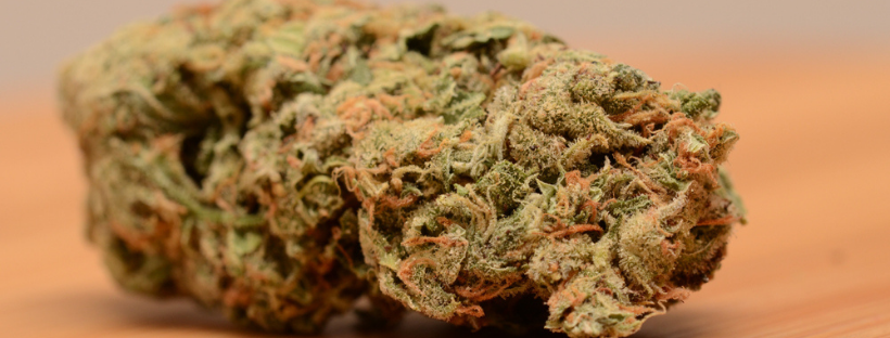 Amnesia Haze Amnesia Haze