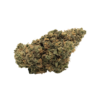 Chocolate Haze (AAA) 1 Chocohaze Solo