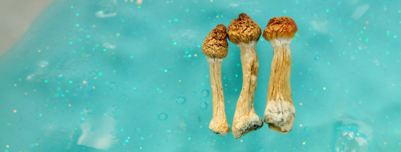 Dont Hesitate to Use Your Creativity Dont Hesitate to Use Your Creativity