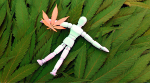 Top 7 Cannabis Strains for Euphoria