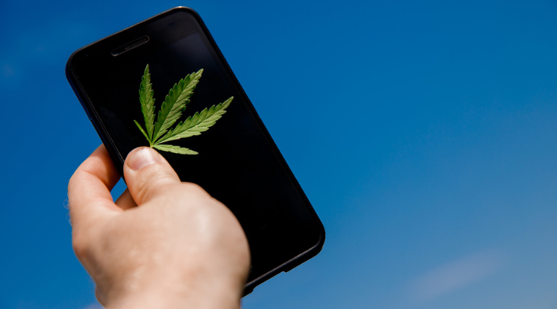 Tips on How to Buy Cannabis Online