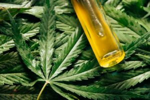 online cannabis stores in Canada