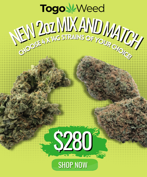 Home 21 2oz Mix and Match TGW 500 × 600 px 1
