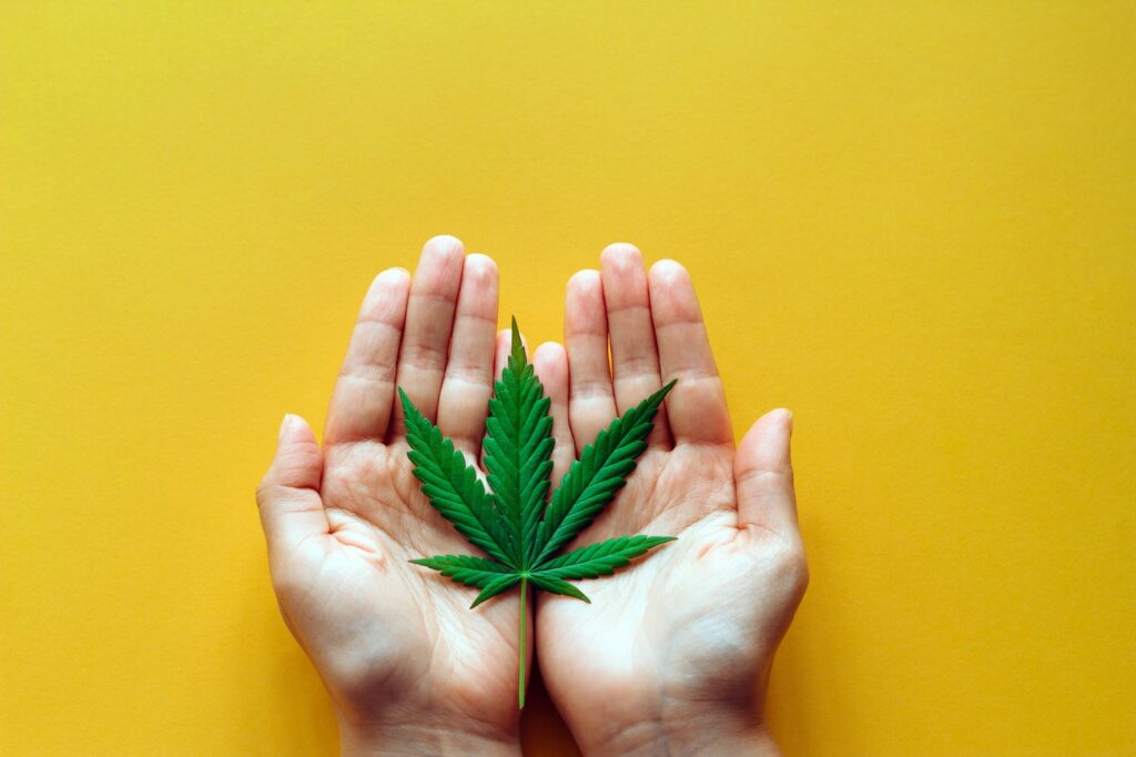 How You Can Get Marijuana in Canada