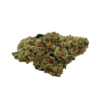 Clase Azul (AAAA) - Cactus Genetics 1 clase azule