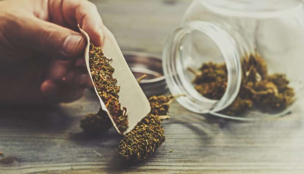 Where to Buy Weed Online in Toronto: Your Complete Guide