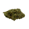 Papaya Strain