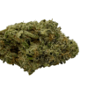 Papaya Strain