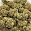 Gorilla Punch Bulk