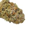 Gushers X Biscotti Close Up 1