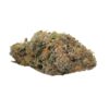 Tropicana Cookies (AAAA) - Koots Canna 2 Tropicana Cookies