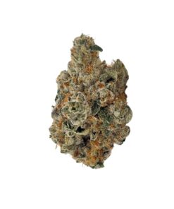 Secret Cookies Kush Mints