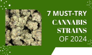 7 must try cannabis strains of 2024