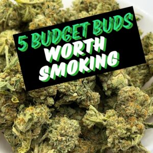 5 budget buds