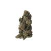 Dairy Queen cannabis strain