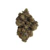 White Tuna (AAAA) 2 White Tuna strain (1)