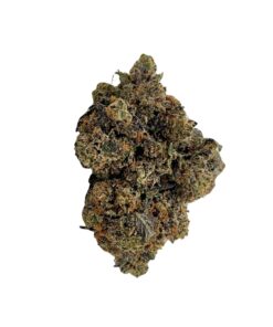 White Tuna strain (1)