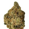 Tropical Z Weed Strain