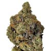Roji OG Strain