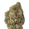 Strawberry Glue weed strain