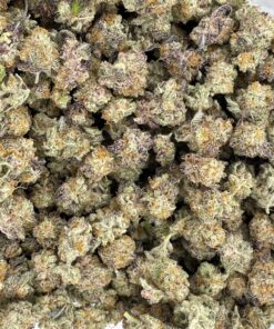 Purple Mac