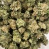 Red Congo (AAAA Smalls) - Prohibition Farms 1 Red Congo Smalls