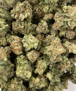 Red Congo Smalls