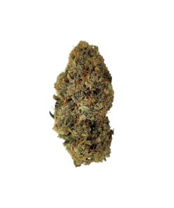LA Chocolate weed strain