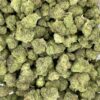 Mint Chocolate Chip (AAAA Smalls) - Beautiful BC Flowers 1 Mint Chocolate Chip weed strain