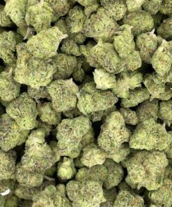 Mint Chocolate Chip weed strain