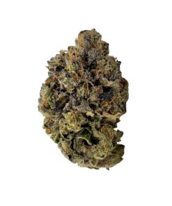 Pink Rockstar