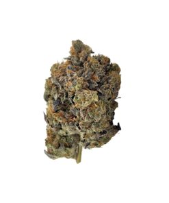 Home 33 Black Gas
