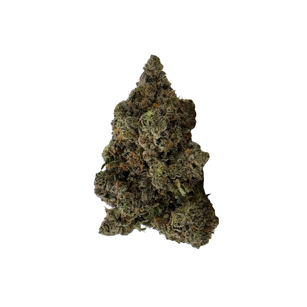 Pink Bubba (1) Pink Bubba (1)