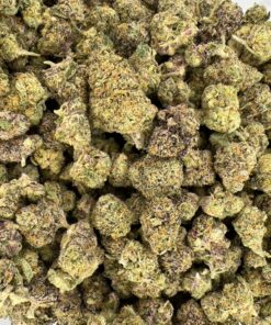 Purple Gelato Smalls