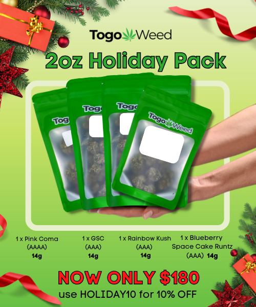 Dec 9 Holiday pack banner (Mobile) (500 × 600 px)