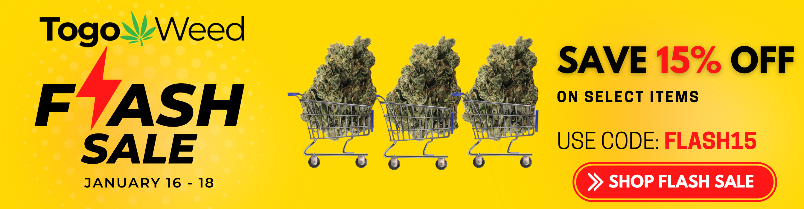 JAN 16 Banner TGW FLASH SALE