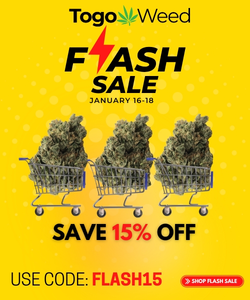 FEB 27 Mobile Banner TGW Flash sale