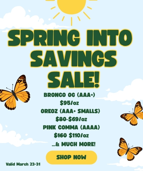 MAR 23 Mobile Banner TGW SPRING SALE (2)