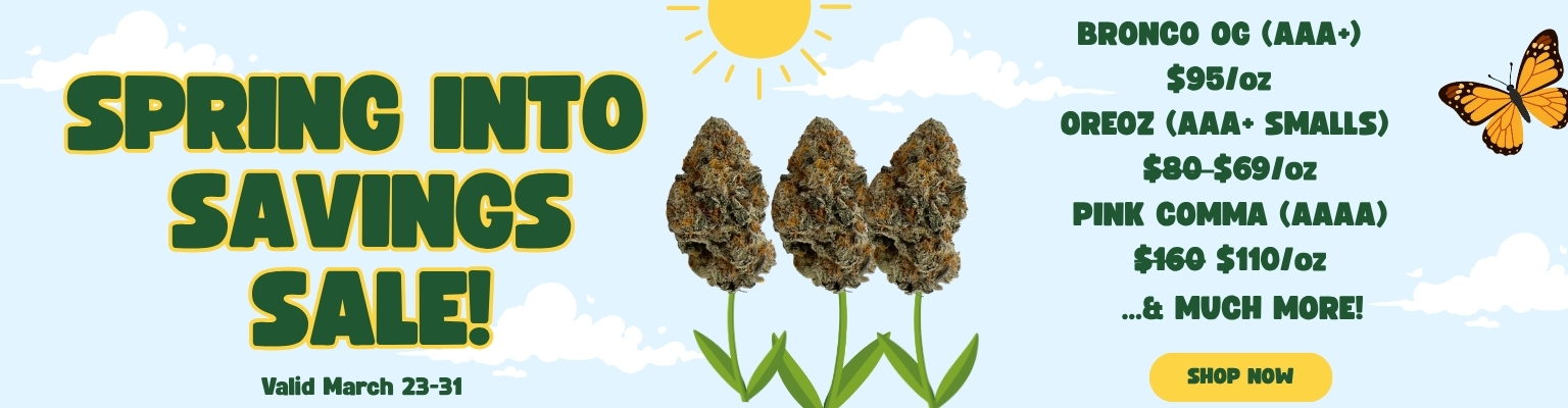 Mar 23 Banner TGW Spring Sale (1)