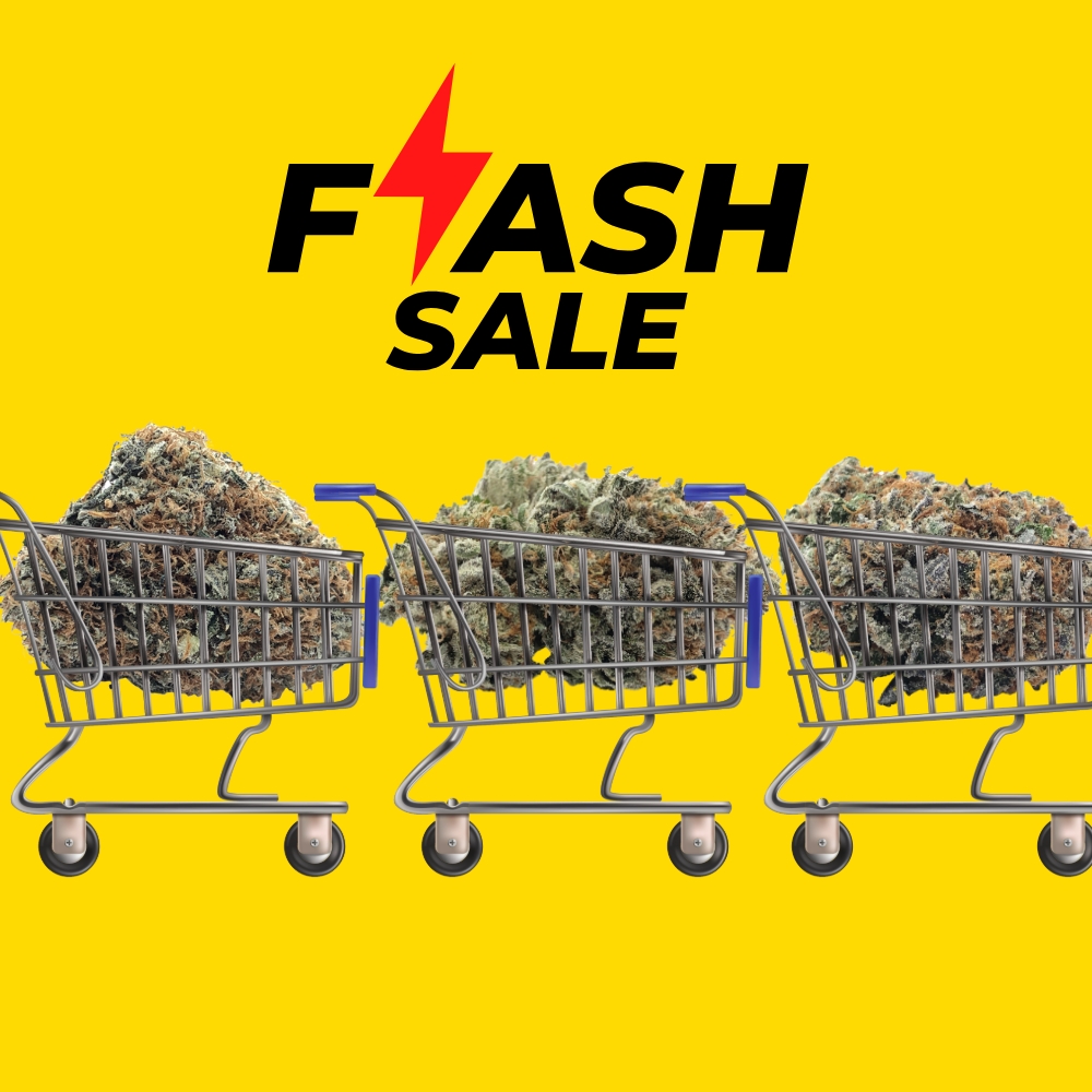 TG Flash Sale 1