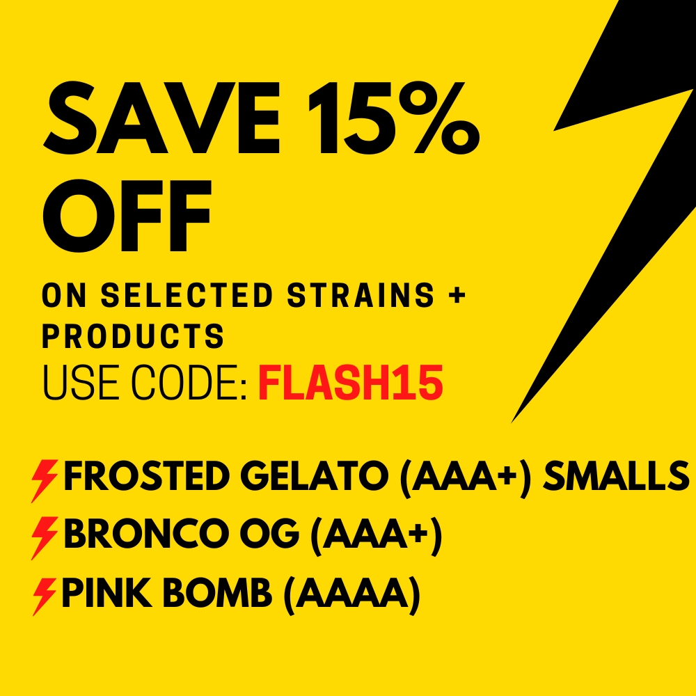 TG Flash Sale 2