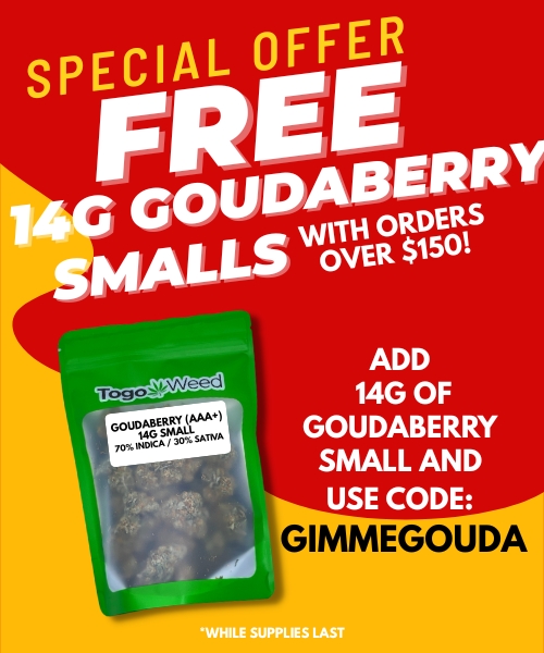 Free Gouda Mobile Banner TGW