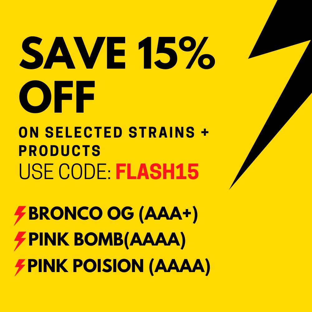 TG Flash Sale 2