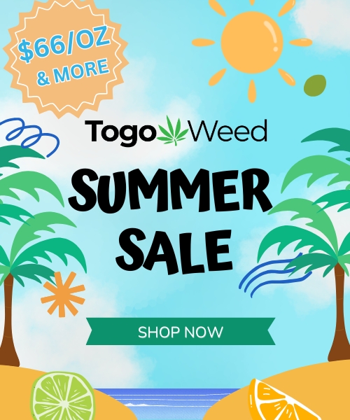 summer sale Mobile Banner TGW