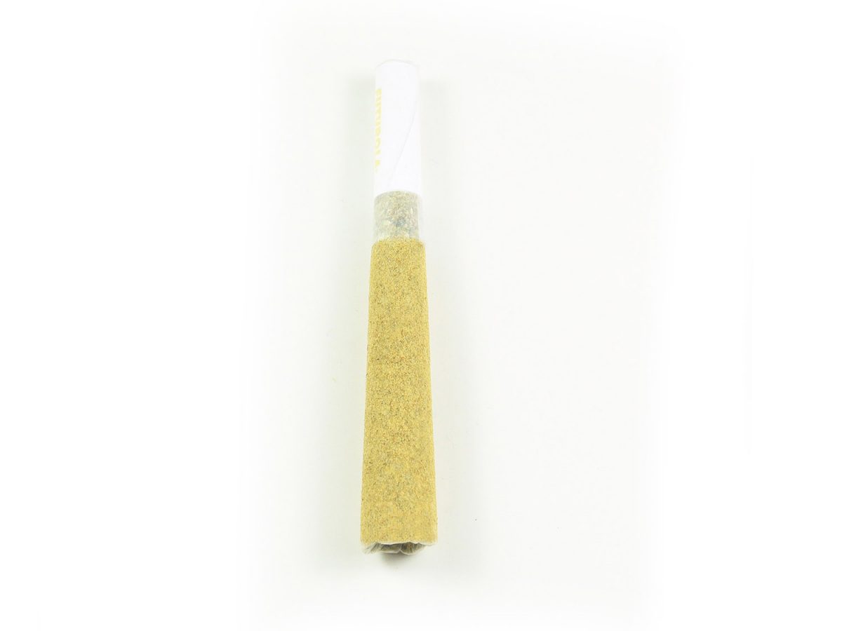 2019 Pre Roll 2 1200x900 1.jpg 2019 Pre Roll 2 1200x900 1.jpg
