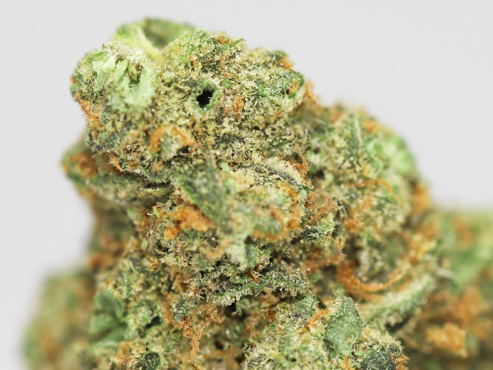 24K GOLD AA CLOSE UP.jpg 24K GOLD AA CLOSE UP.jpg